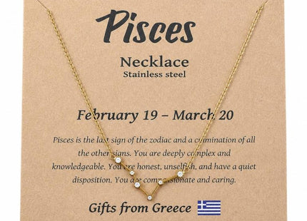 Κολιέ Ιχθύων από ανοξείδωτο ατσάλι σε συσκευασία δώρου
