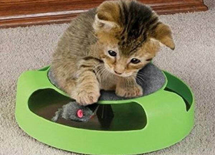 Μικρή γάτα πάνω σε πράσινο παιχνίδι Catch the Mouse με γκρι ποντίκι στο εσωτερικό